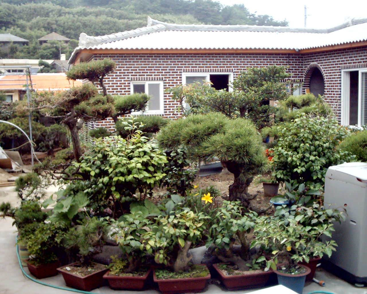 우이도 우림장 민박