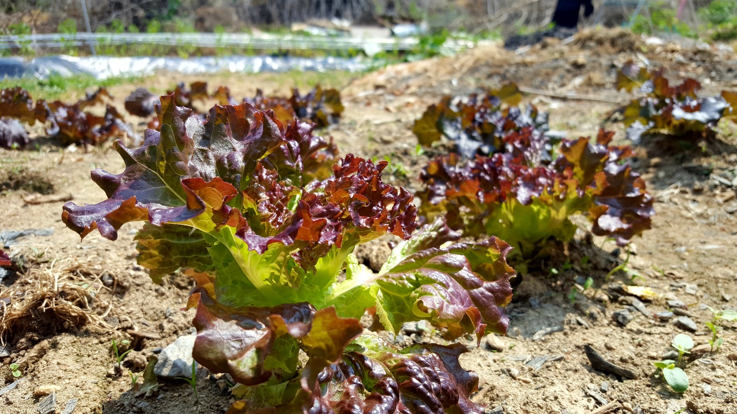 토우정육식당 대표 이미지