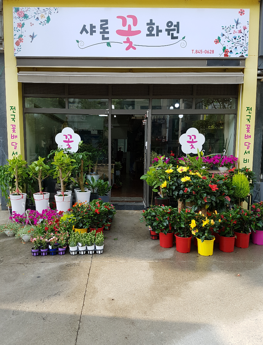 샤론화원