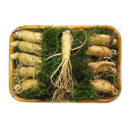 영풍인삼사