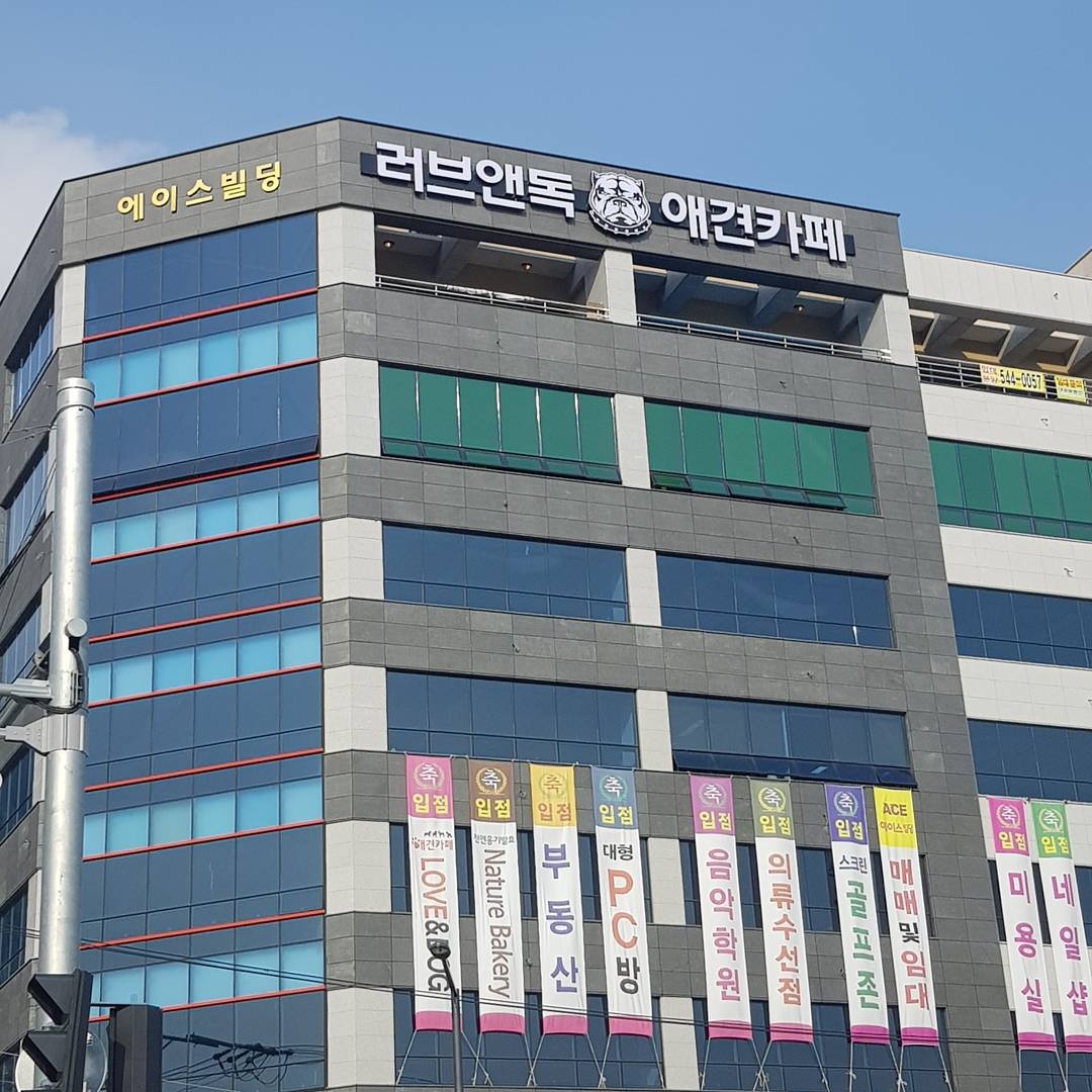 사진 4