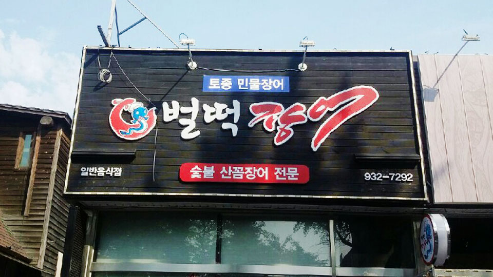 벌떡장어