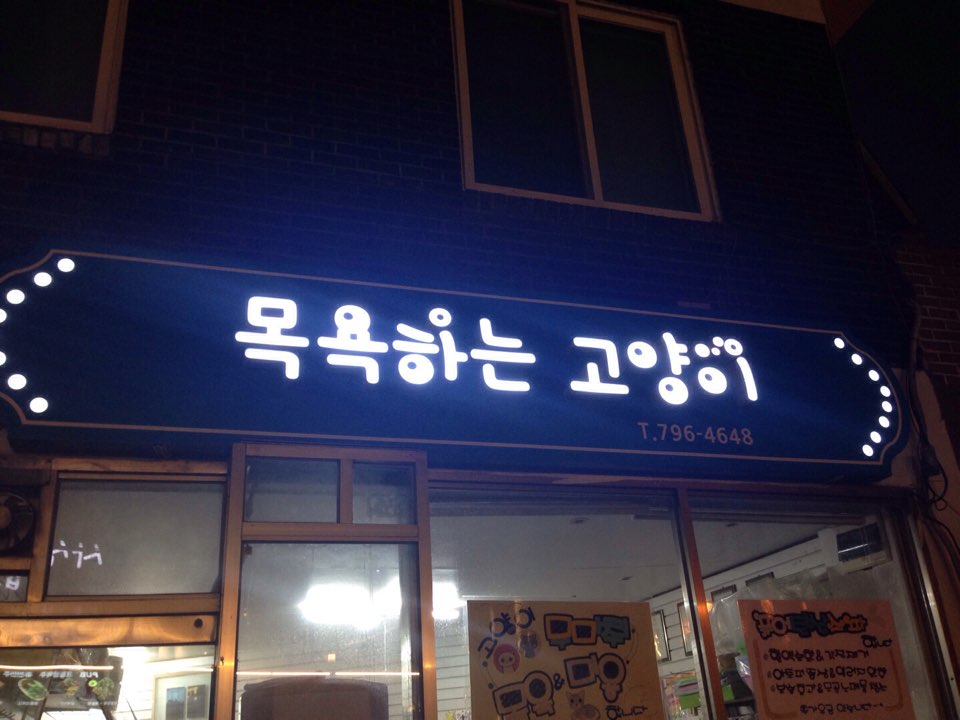 목욕하는고양이 대표 이미지