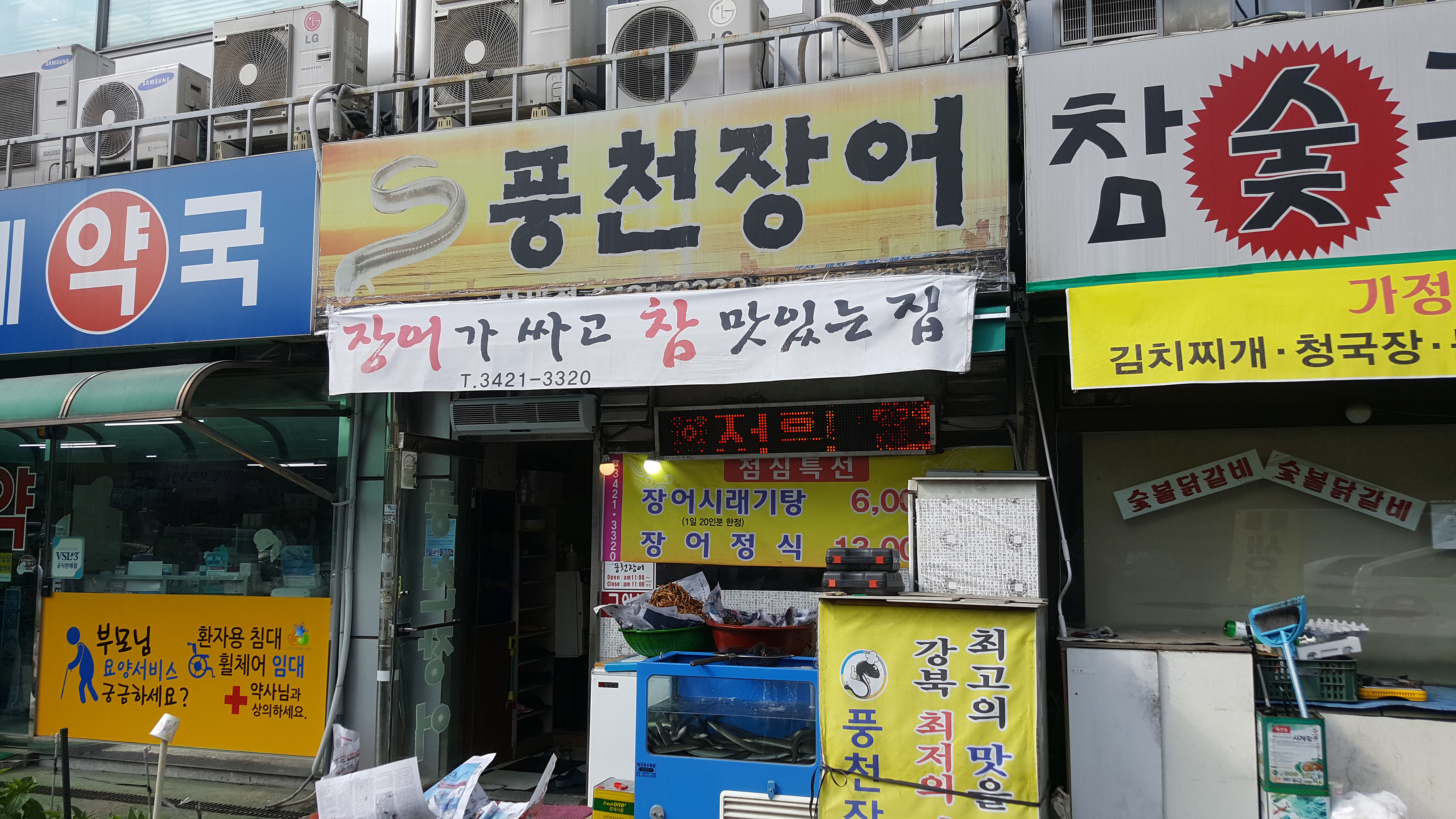 풍천장어