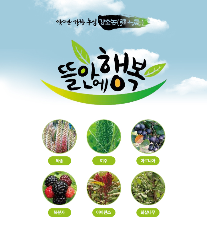 뜰안에행복
