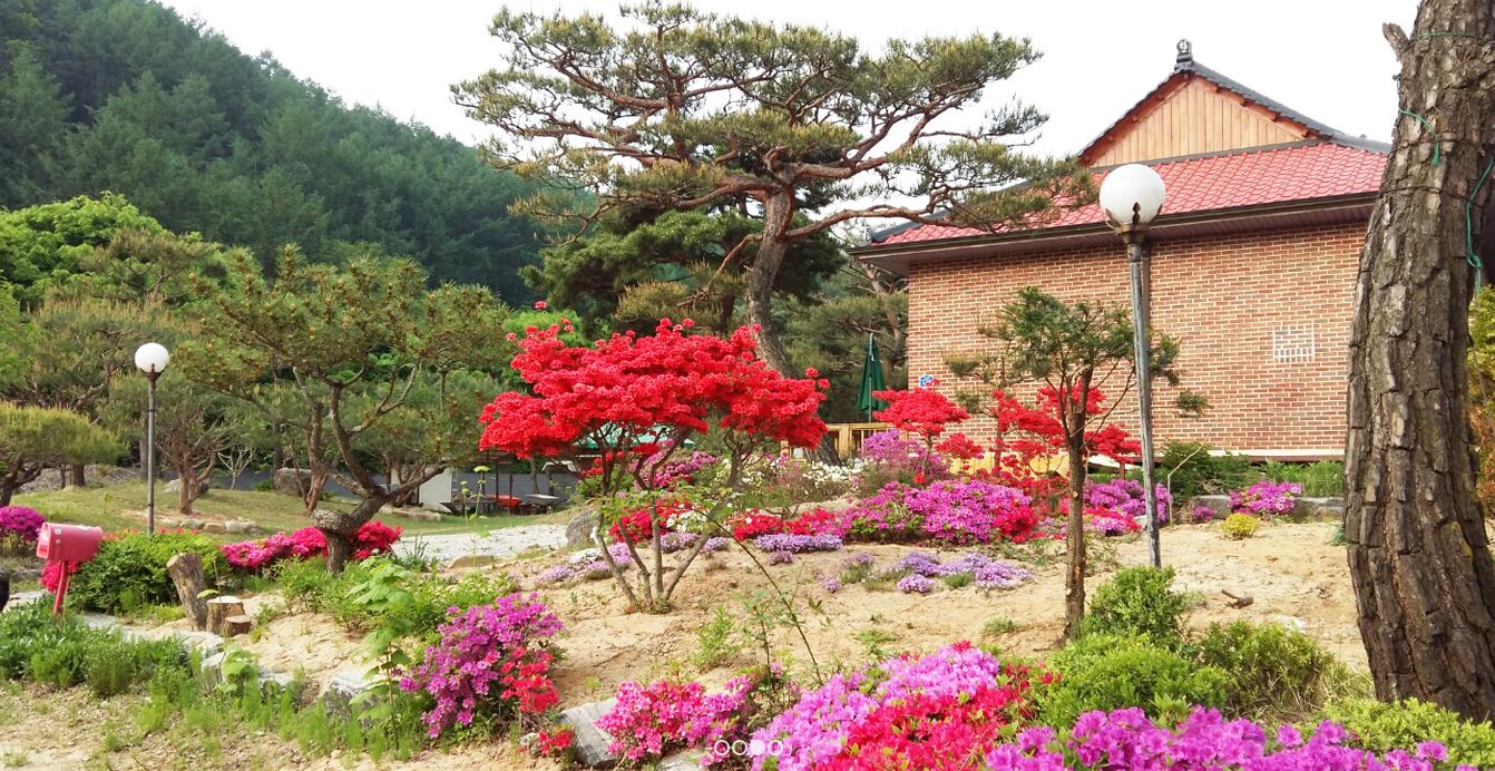 그린하우스펜션