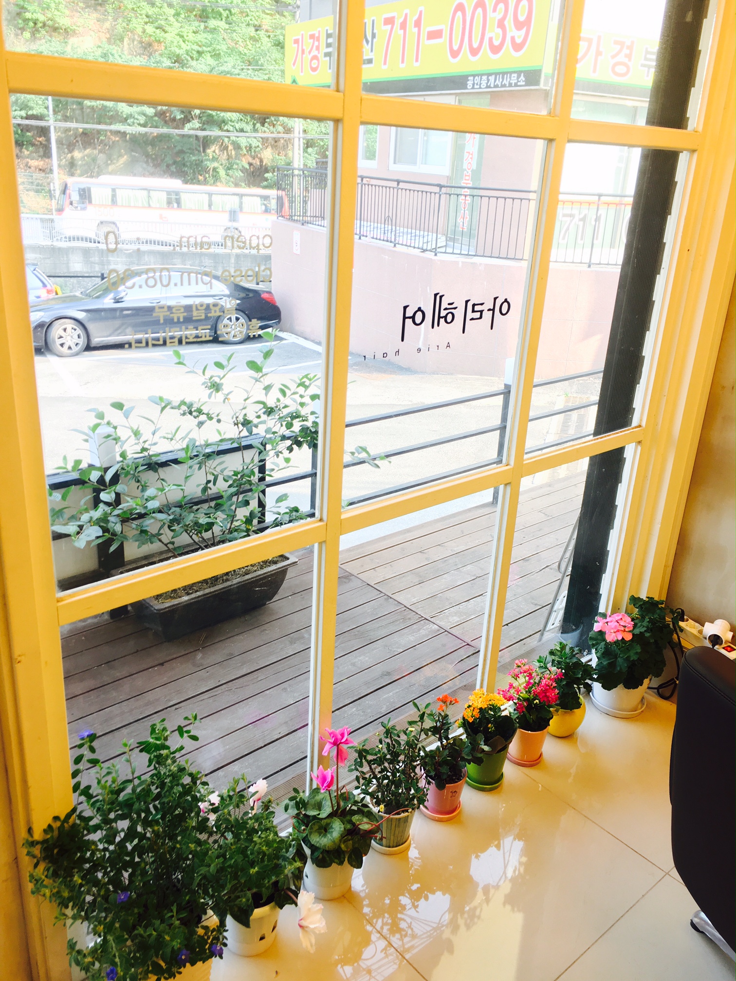 아리헤어
