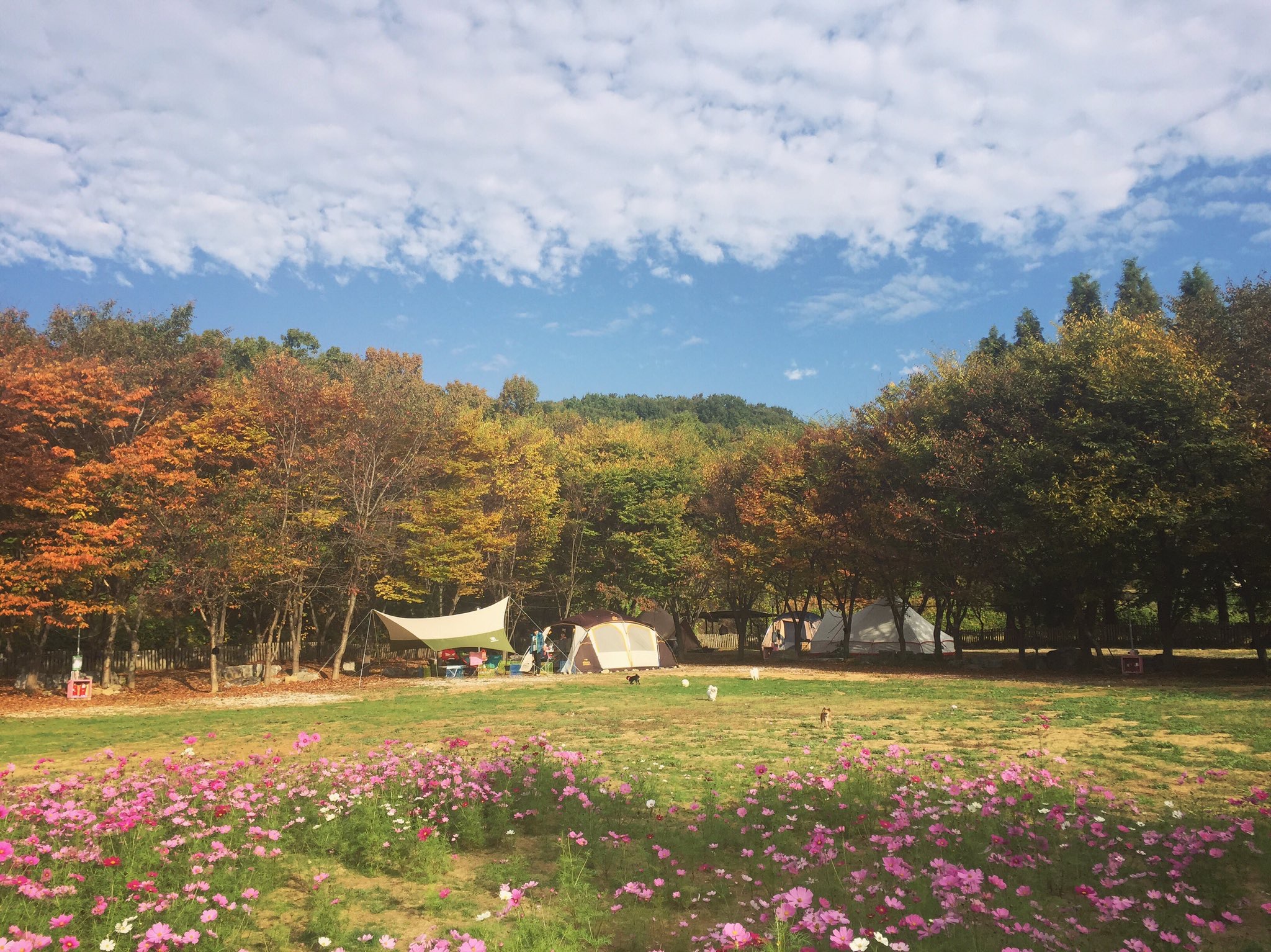 라포레캠핑장 — 아산시