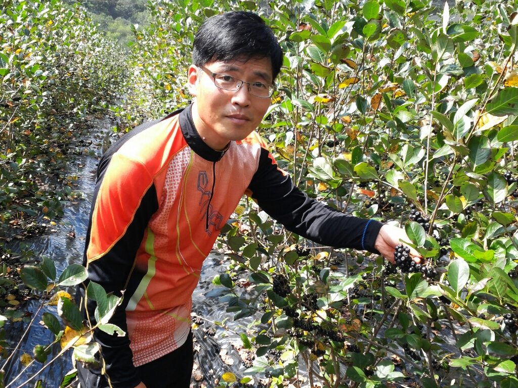 금산힐링푸드영농조합법인