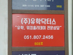 유학닥터스