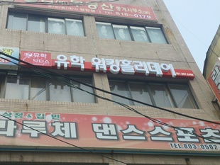 유학닥터스