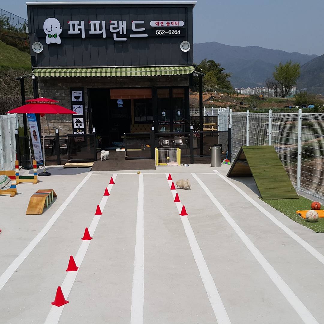 카페문나잇 3