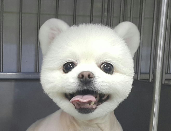DC클럽 대표 이미지