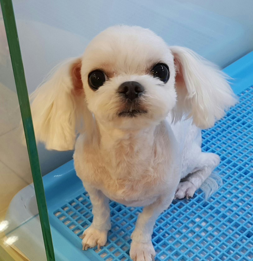 DC클럽 대표 이미지