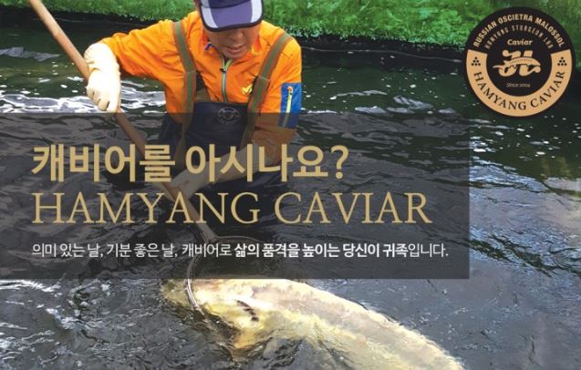 함양 철갑상어연구소