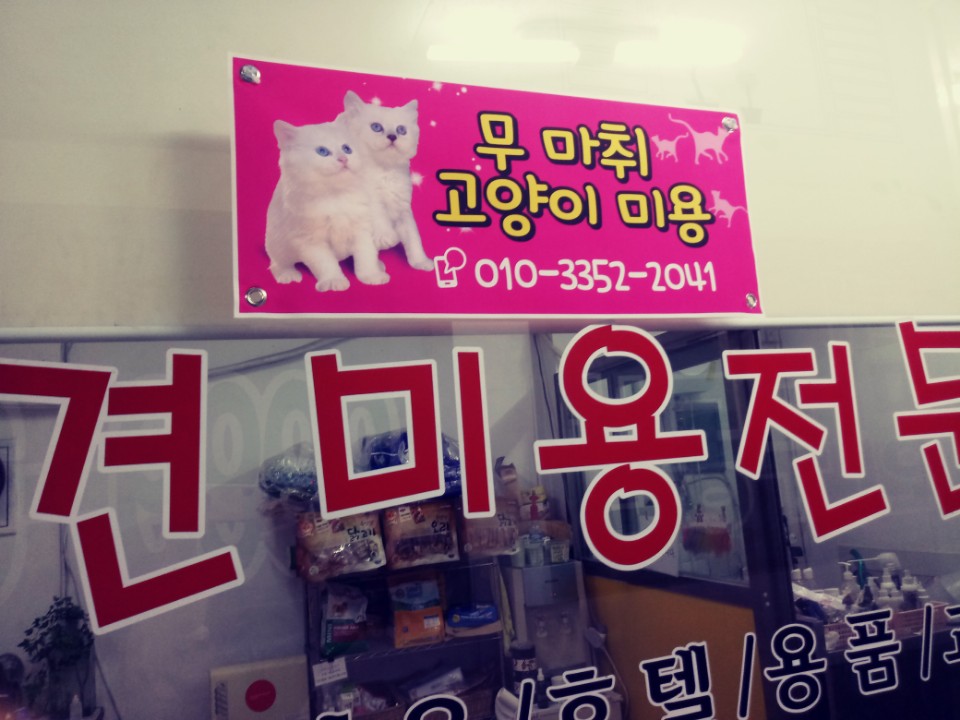 주변 가볼만한 곳