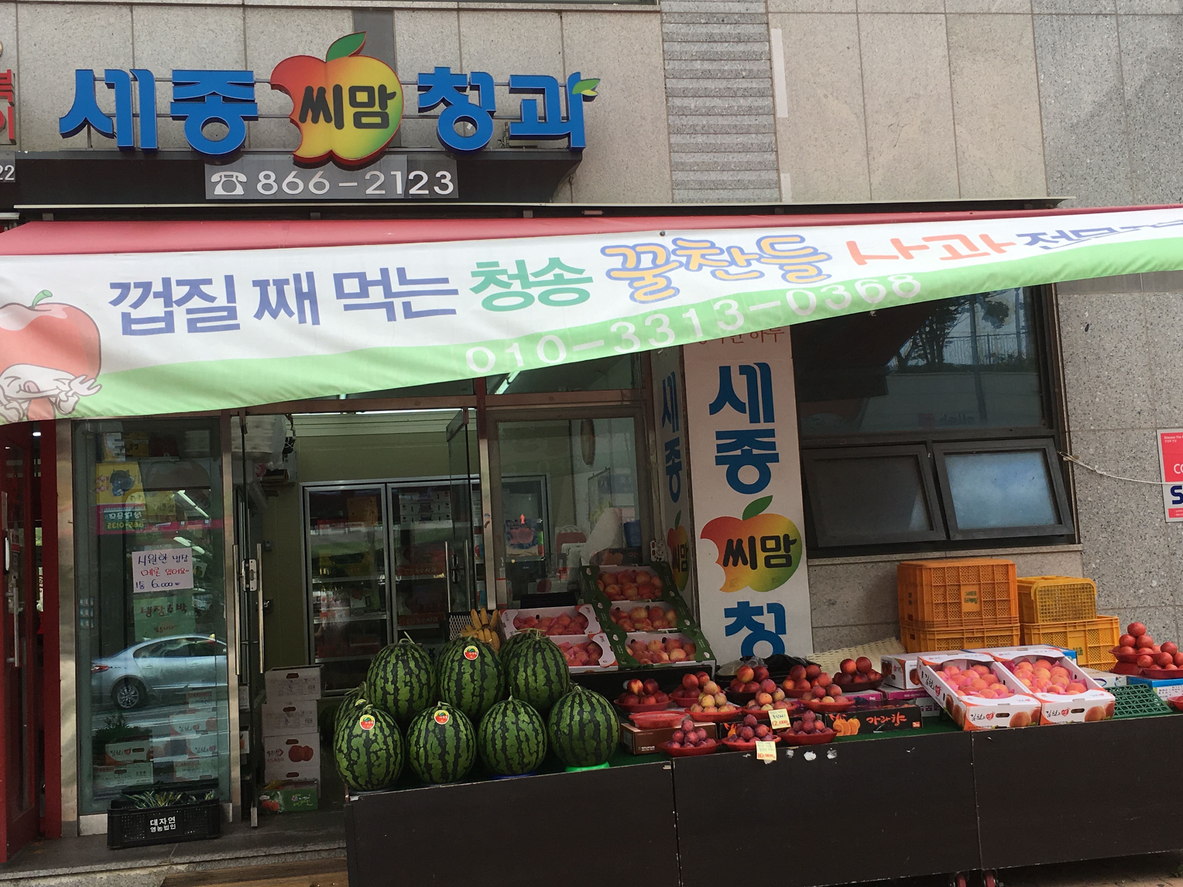 세종씨맘청과