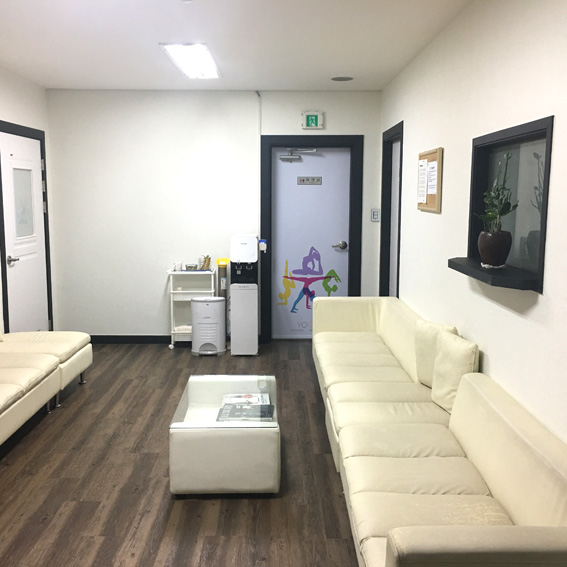 강동구 생활체육 요가연합회 대표 이미지