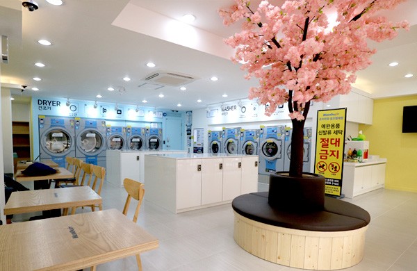 워시엔조이 대구월성점