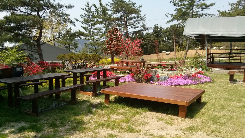 DA.dodo | 능이백숙추천 충남 보령시 능이백숙잘하는 맛집 방문해 보세요 솔밭집