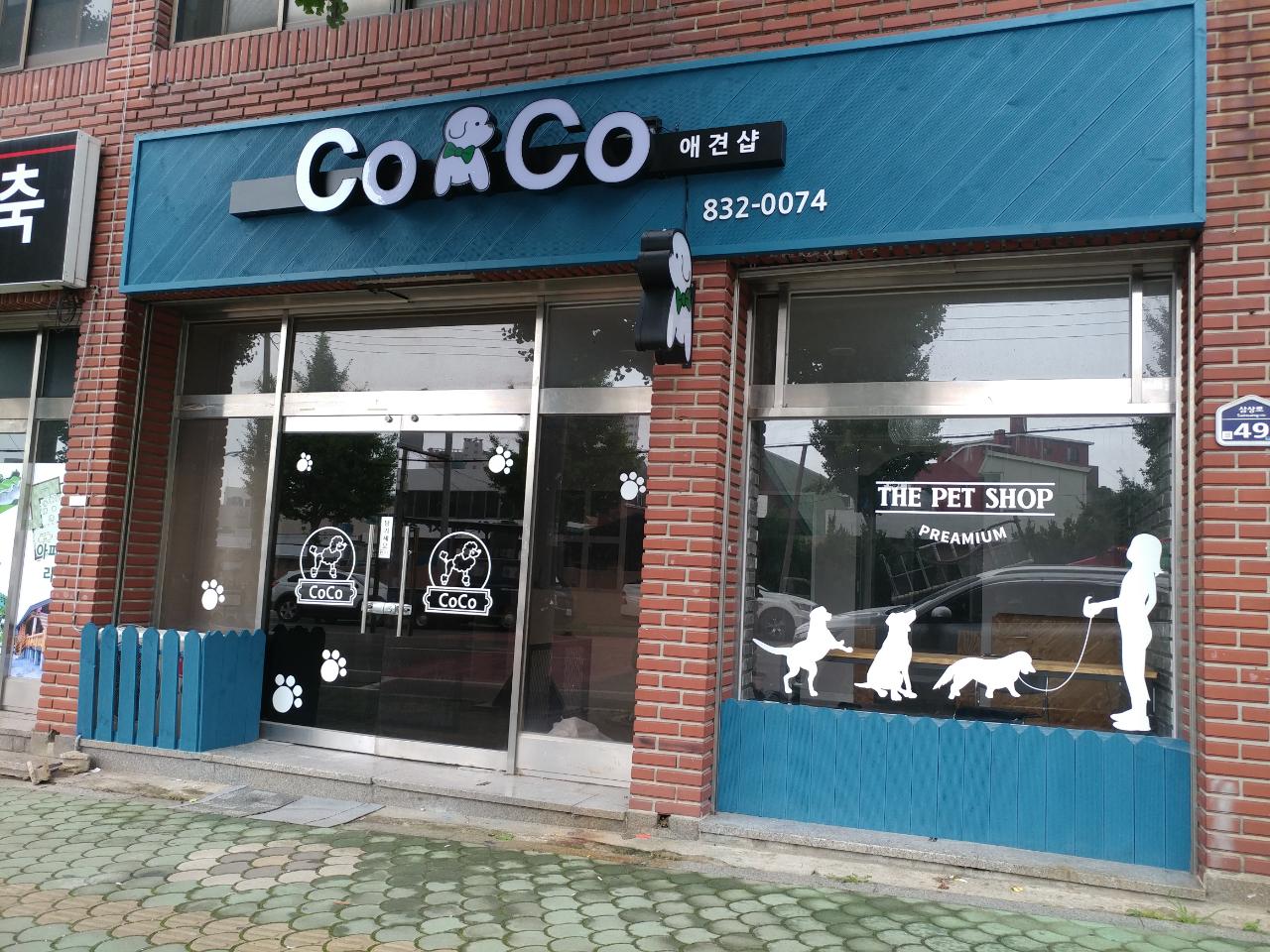 코코애견샵 대표 이미지