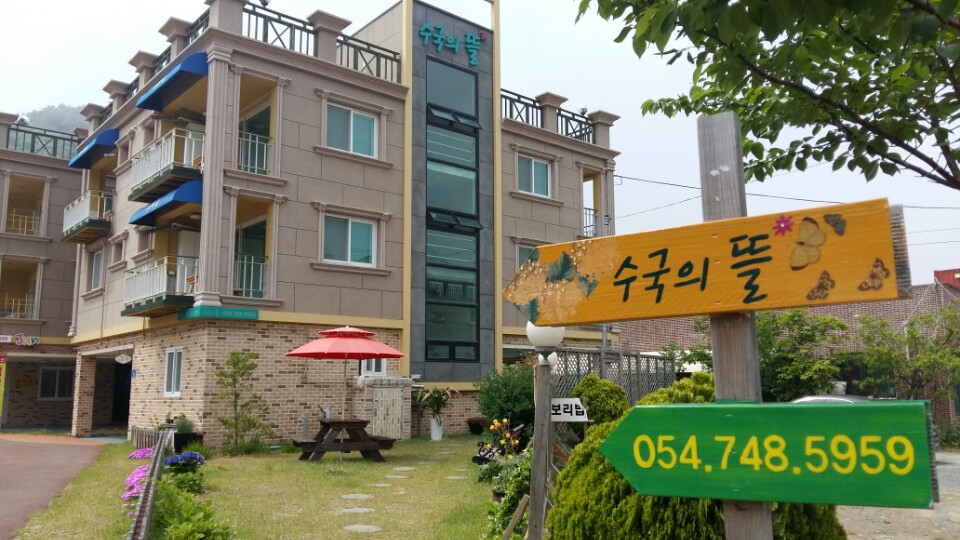 수국의 뜰 펜션