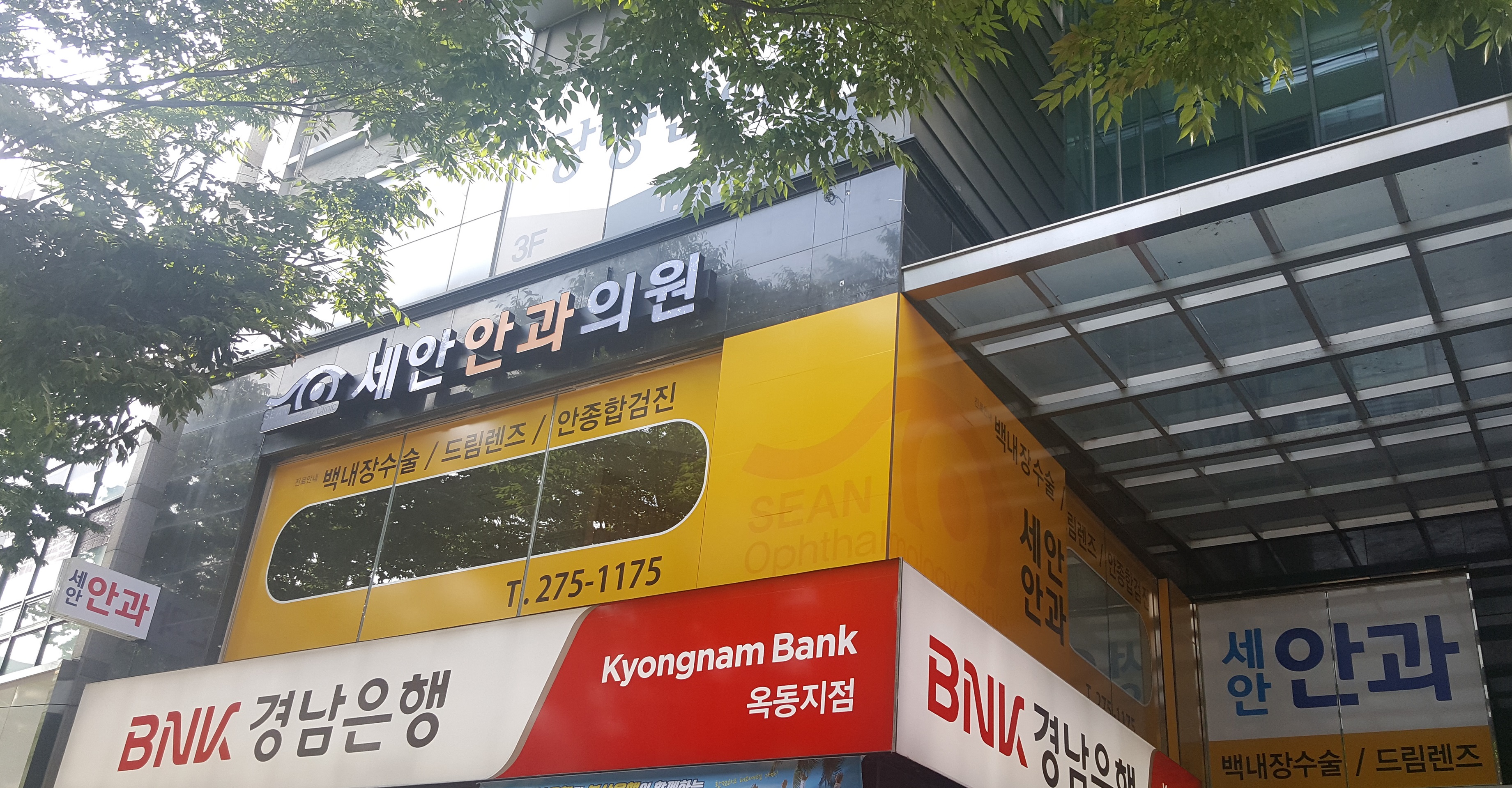 세안안과의원 대표 이미지