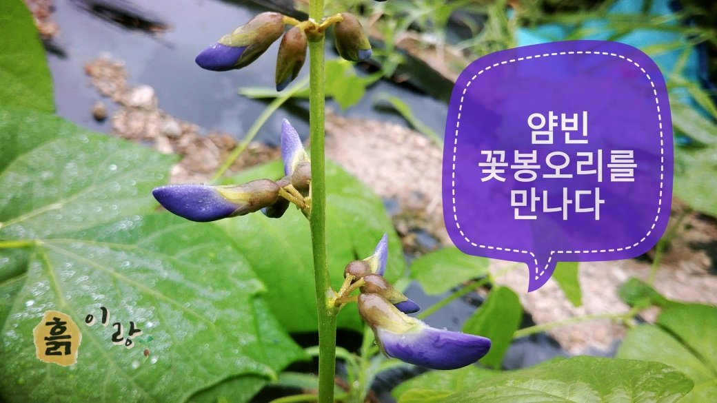 흙이랑농장