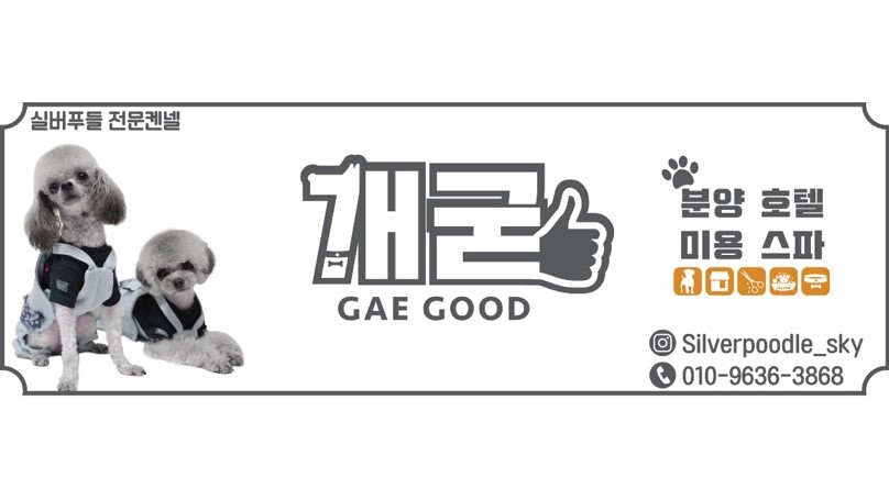 개굳 대표 이미지
