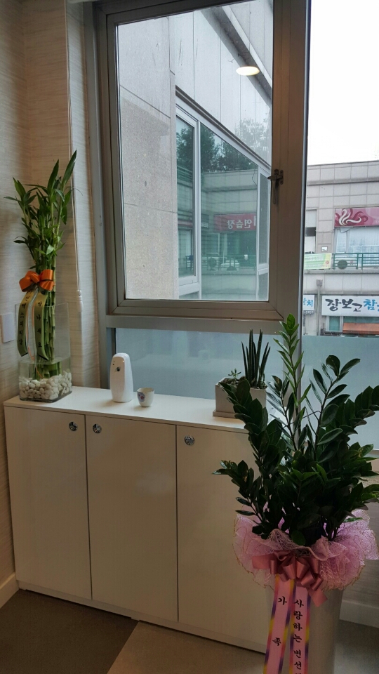 몸편한세상 photo 5