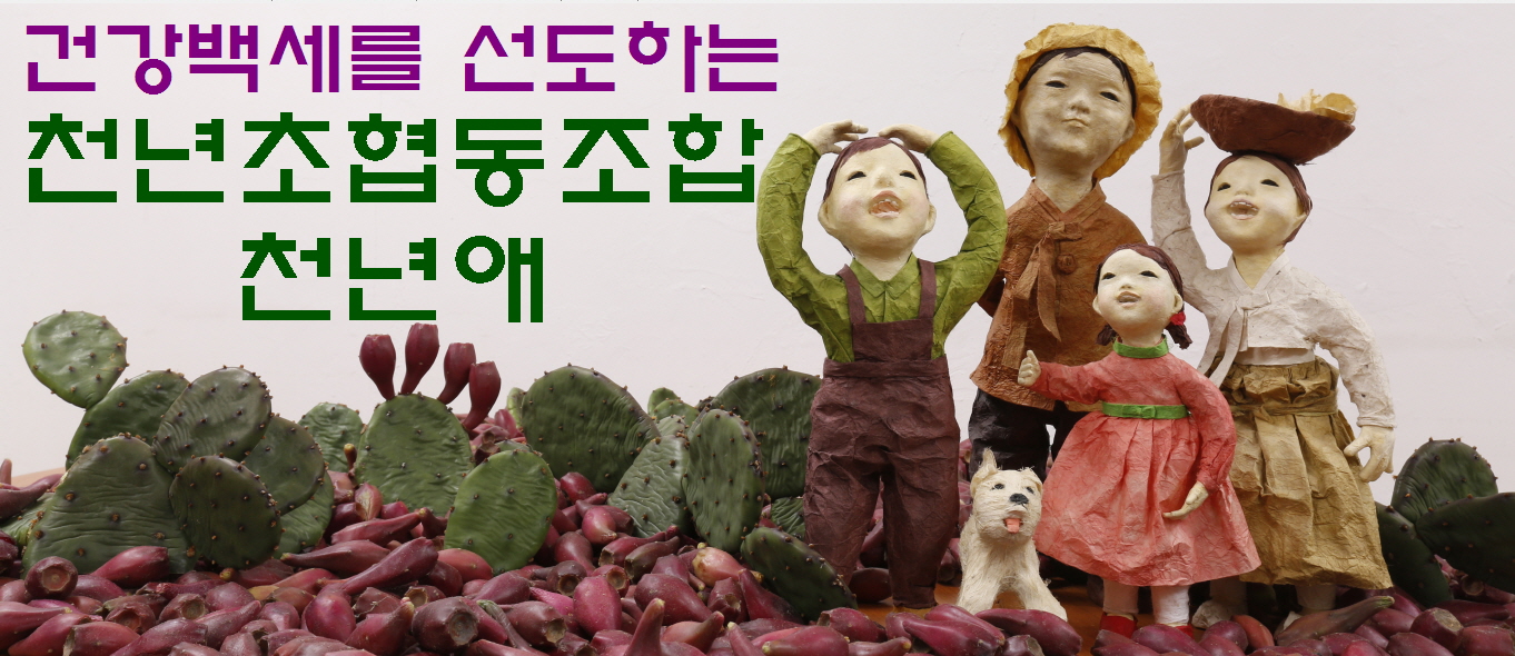 천년초협동조합천년애