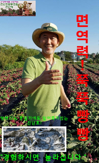천년초협동조합천년애