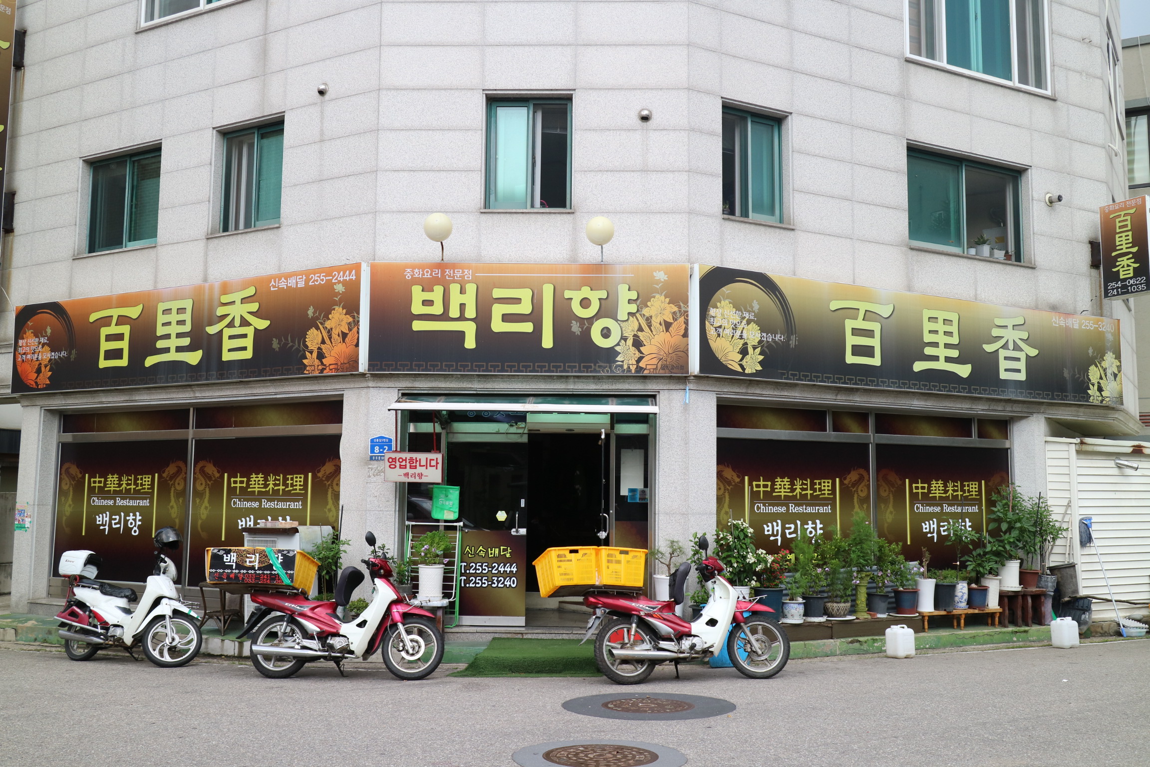 백리향