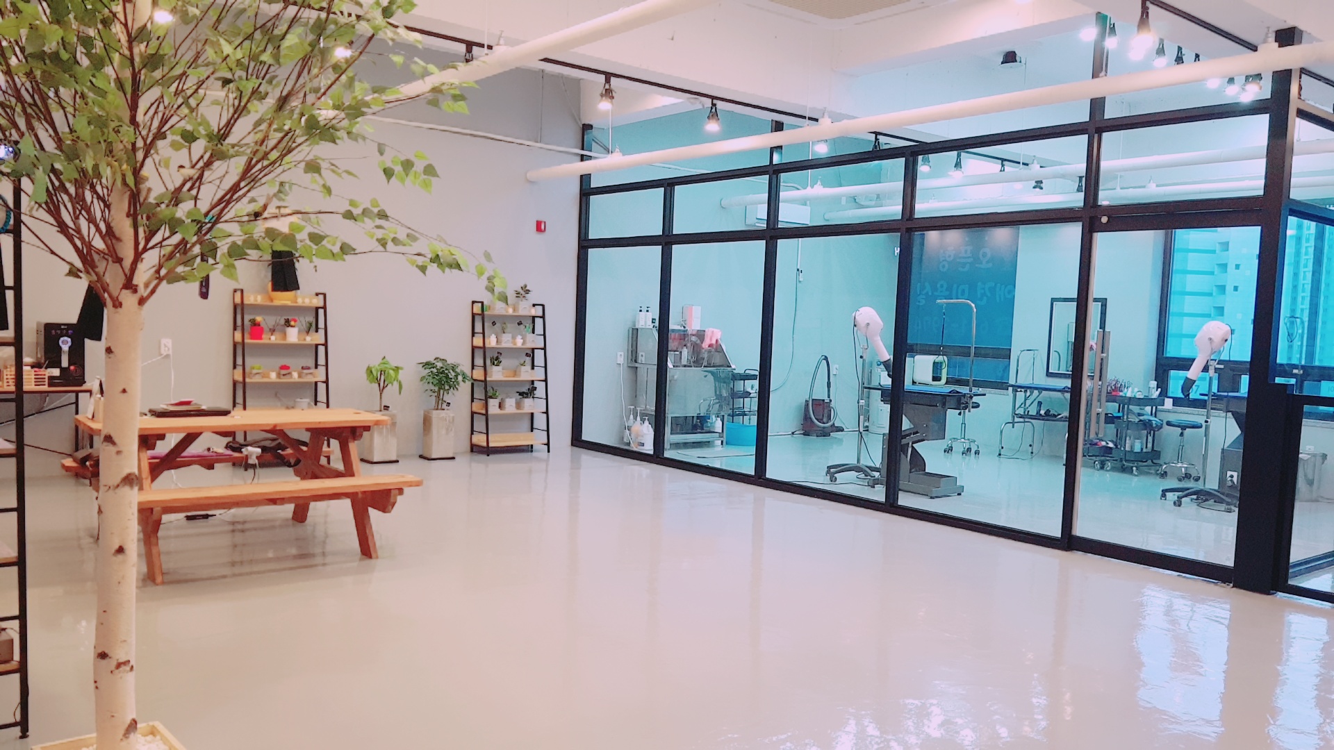 개이뻐 대표 이미지