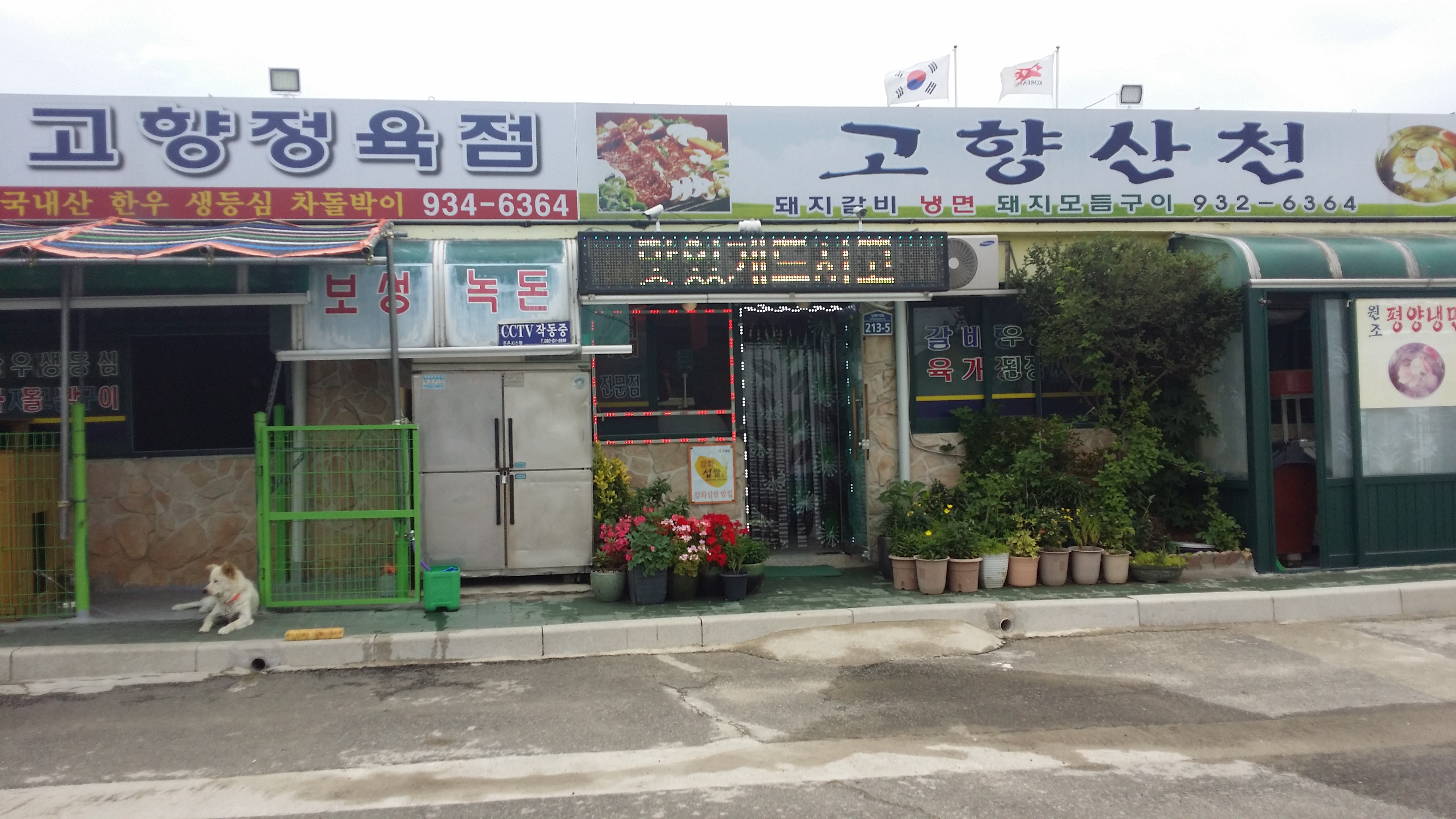 고향산천