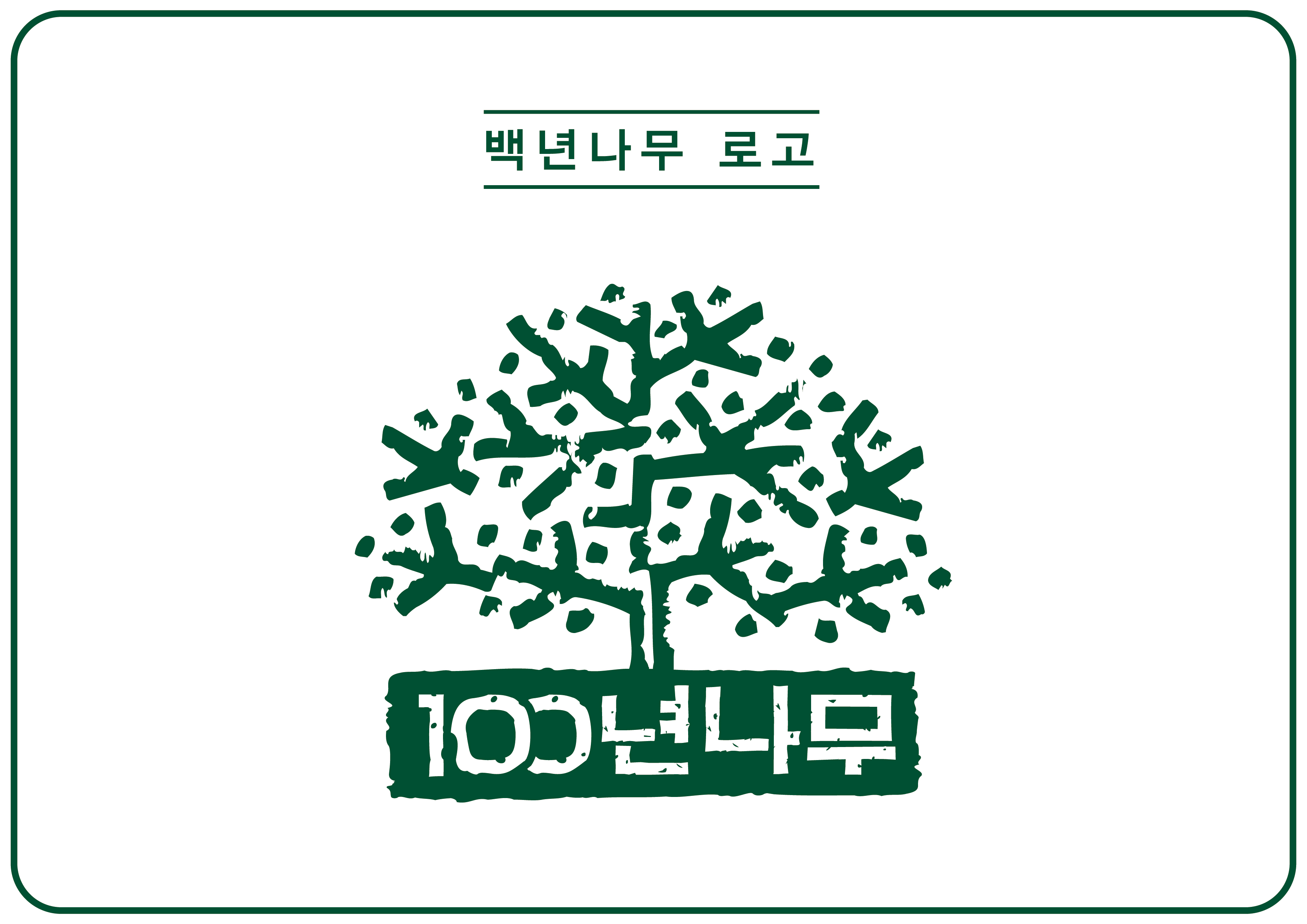 백년나무