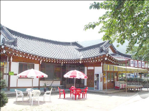 부흥민박