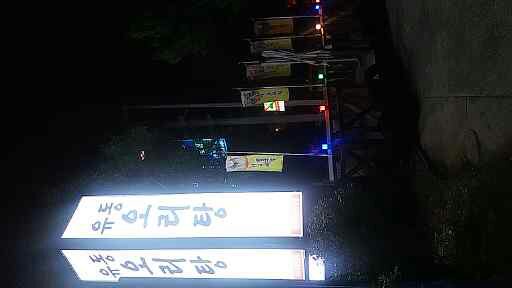 유동오리탕