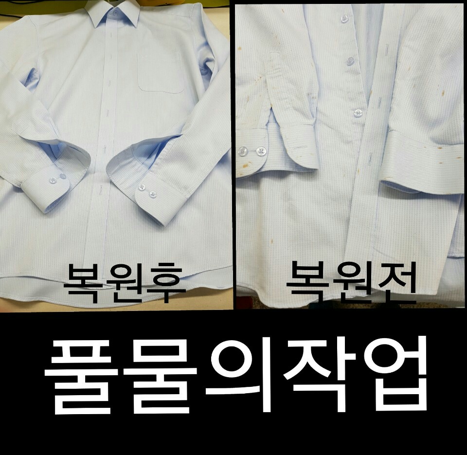 얼룩빼기 금강세탁