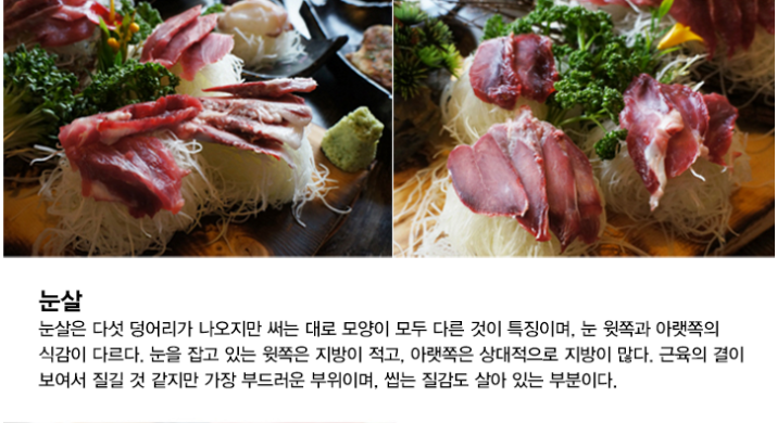 진참치