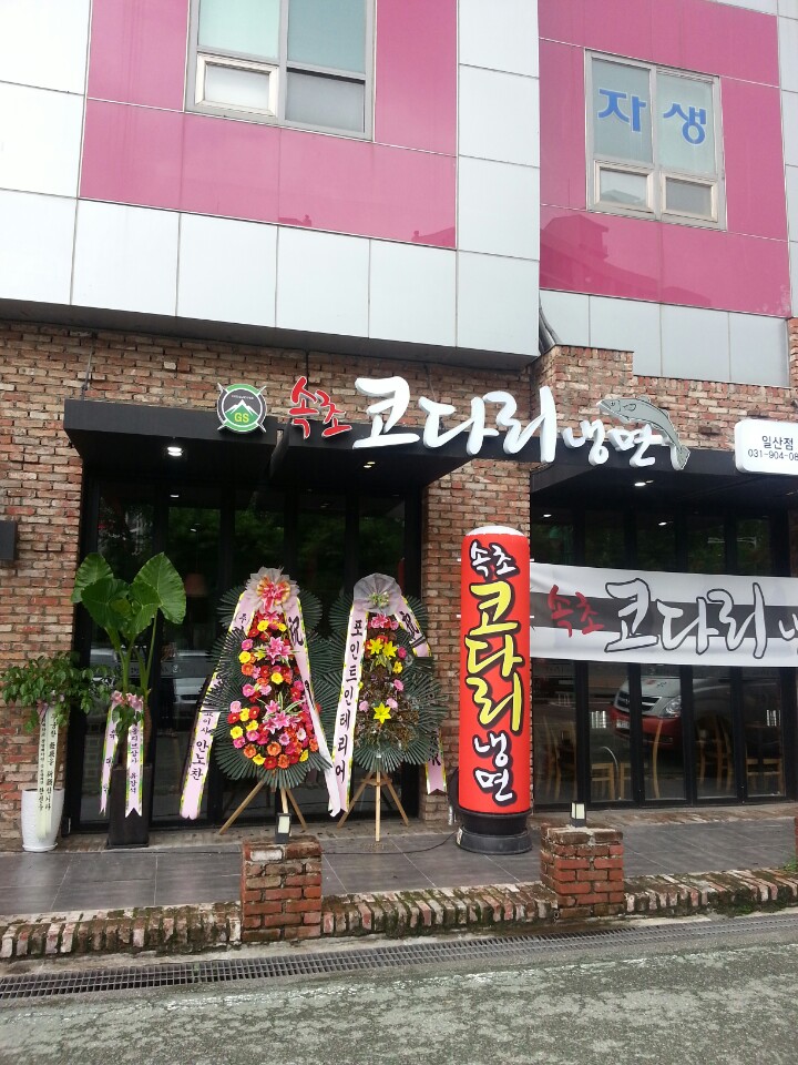 속초코다리냉면