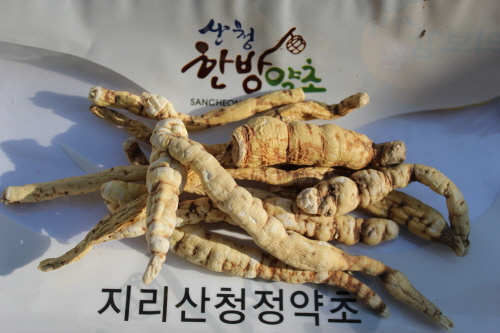 지리산청정약초