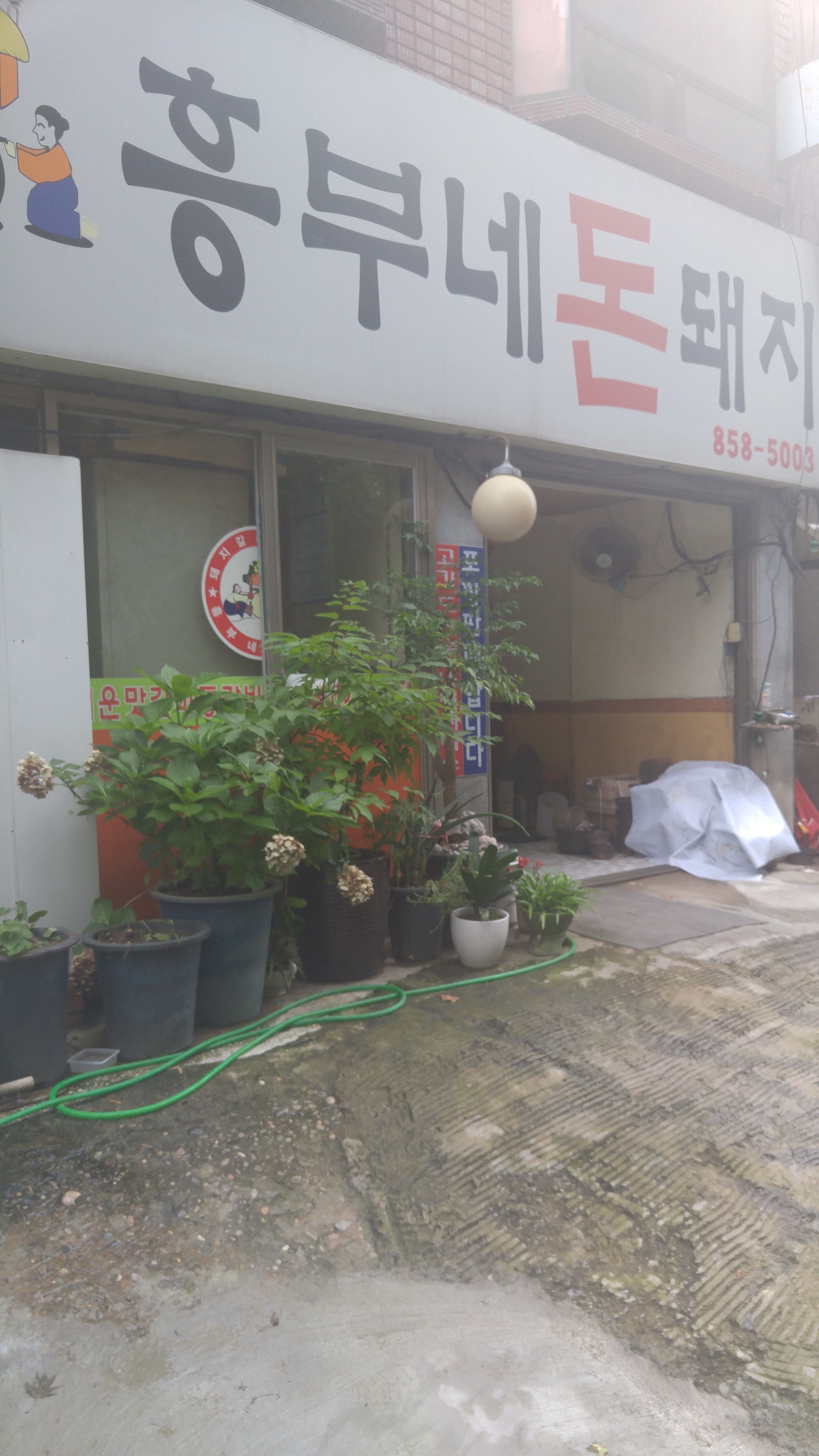 흥부네돈돼지 대표 이미지