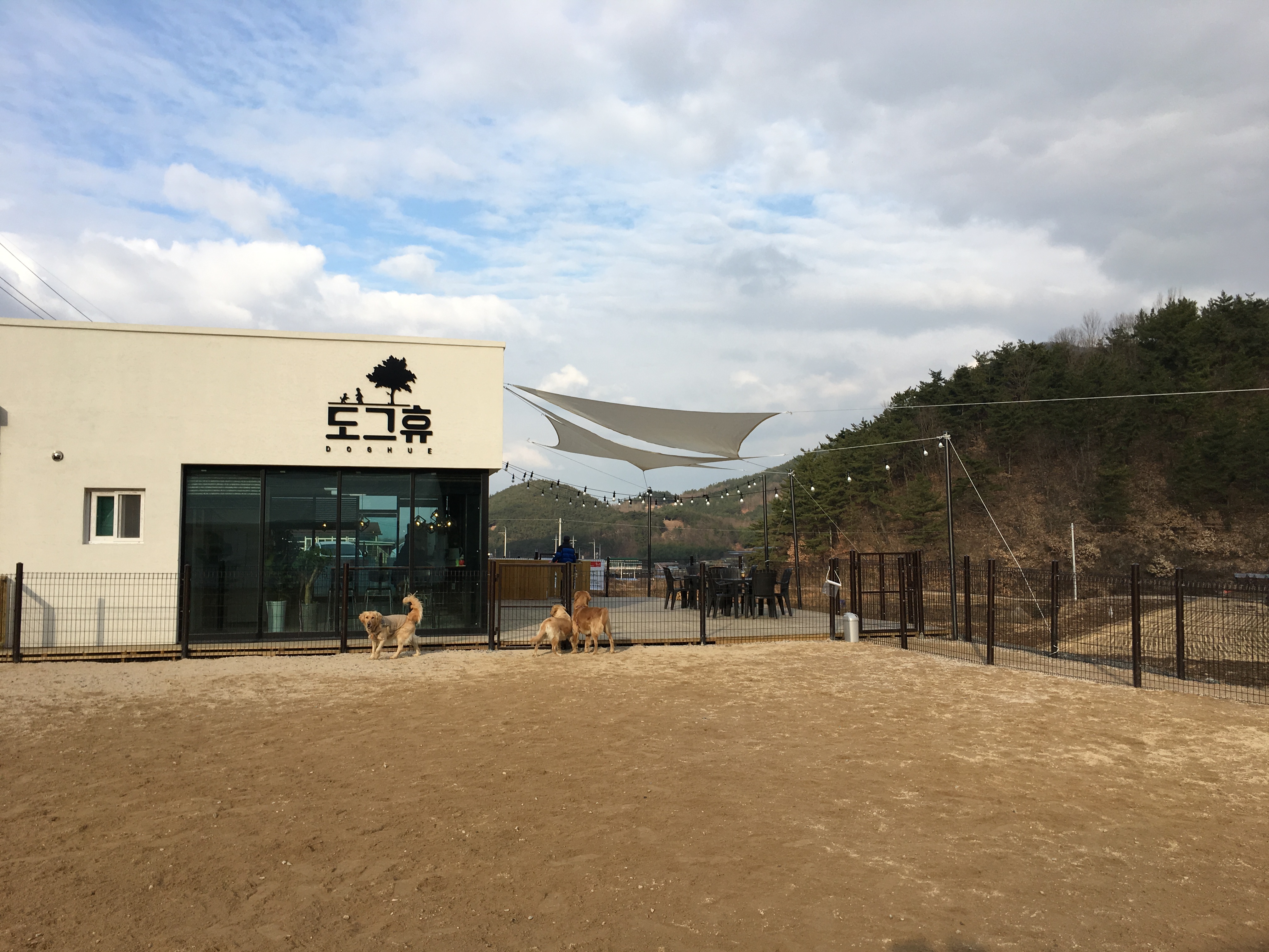 도그휴