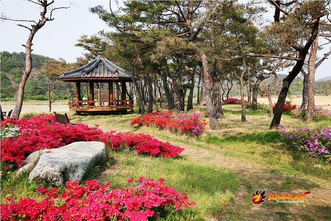 회룡포녹색농촌체험마을