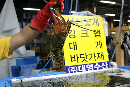 대영수산