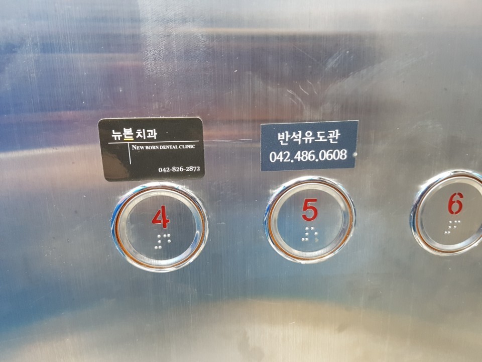 드림오브유도 반석유도관&주짓수