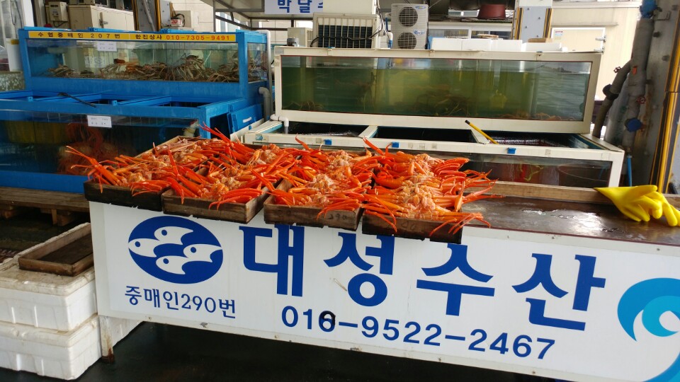 대성수산