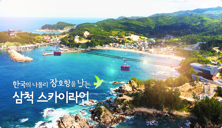 삼척해상케이블카 장호역 반려동물 동반 애견카페