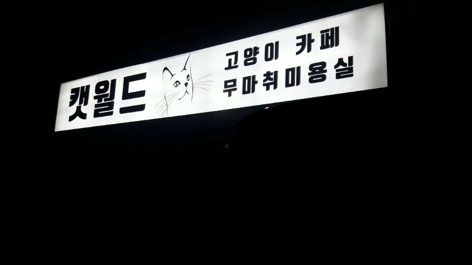 캣월드